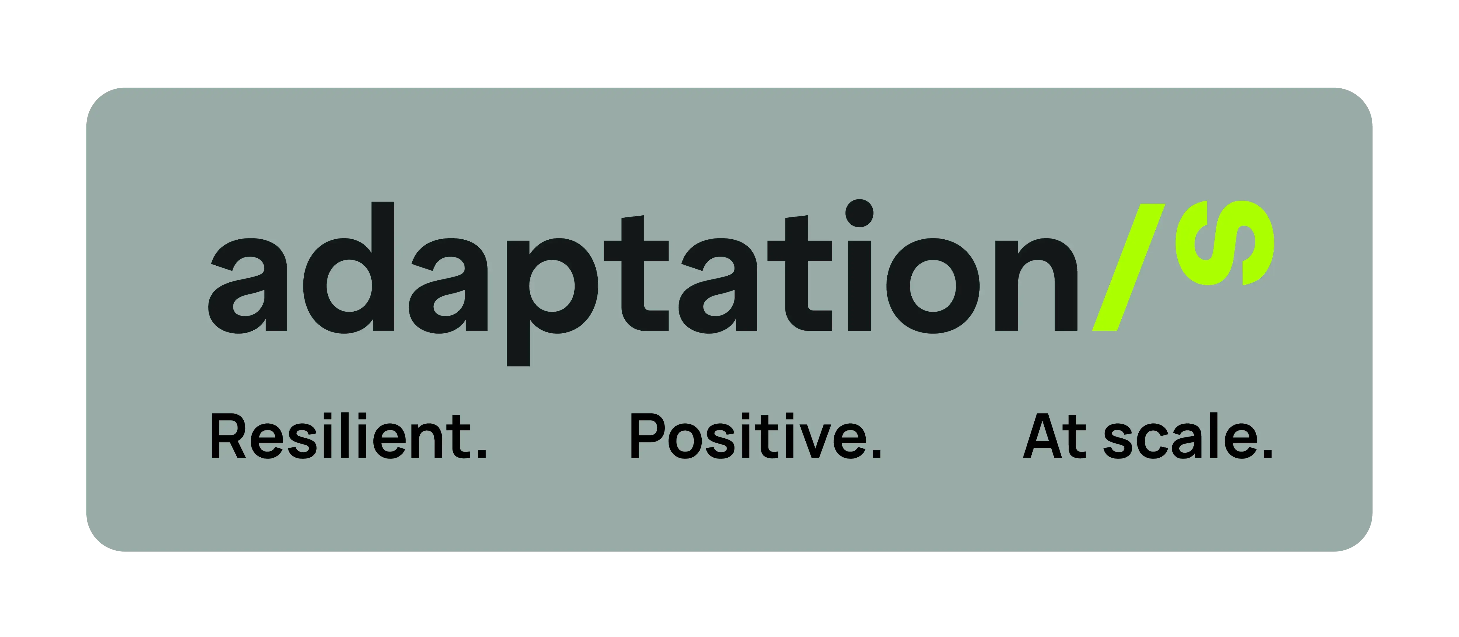 AdaptationS