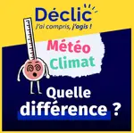 Miniature infographie 8 - les shifters